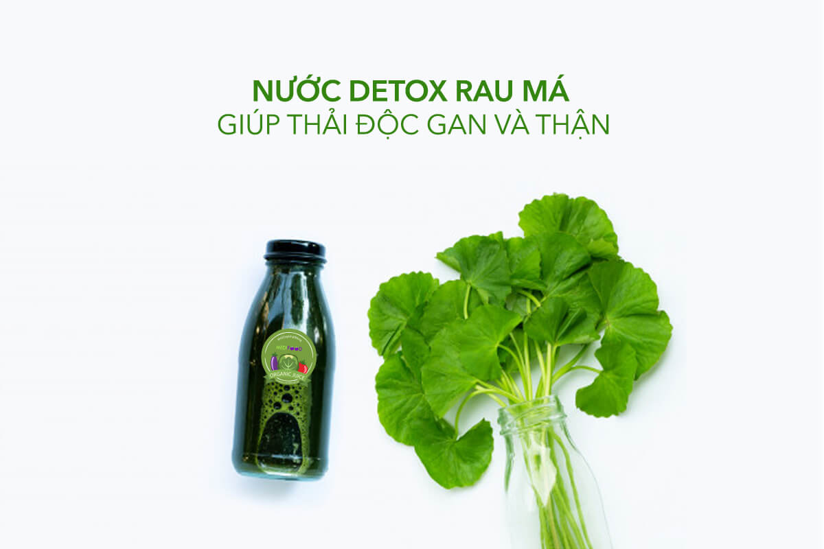 NƯỚC DETOX Rau Ma