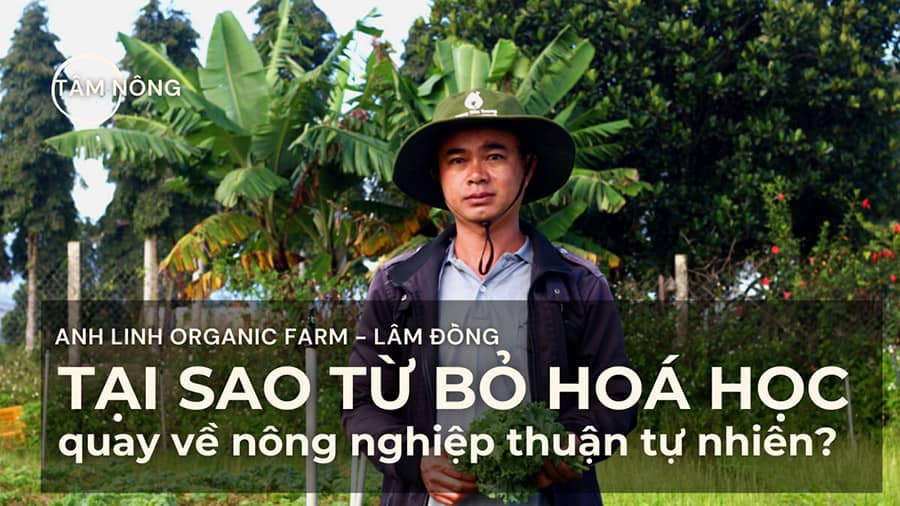 medifood partner farm - anh linh